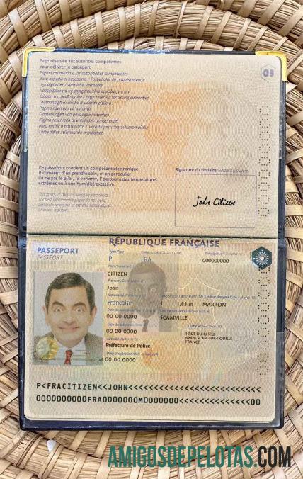 Visual de foto do passaporte francês versão 2 exemplo